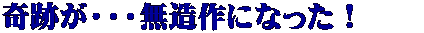 奇跡が・・・無造作になった!