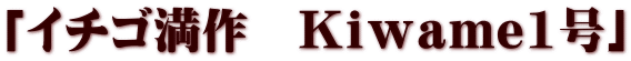 「イチゴ満作　Ｋｉｗａｍｅ1号」