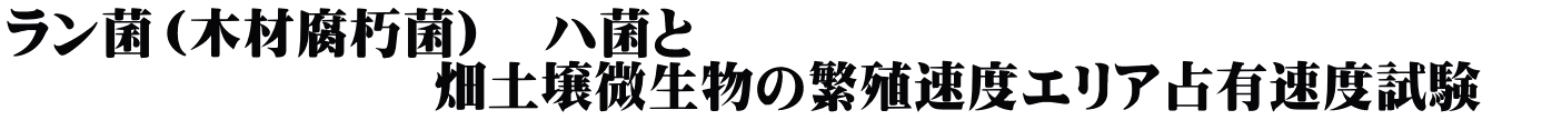 ラン菌（木材腐朽菌）　ハ菌と 　　　　　　　　畑土壌微生物の繁殖速度エリア占有速度試験　