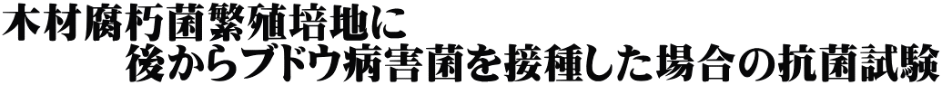 木材腐朽菌繁殖培地に 　　　後からブドウ病害菌を接種した場合の抗菌試験