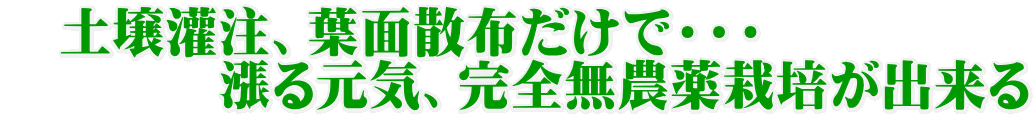 　土壌灌注、葉面散布だけで・・・ 　　　　漲る元気、完全無農薬栽培が出来る