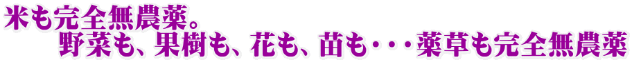 米も完全無農薬。 　　野菜も、果樹も、花も、苗も・・・薬草も完全無農薬 