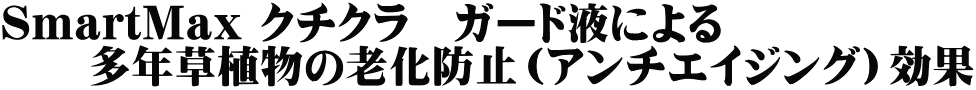 SmartMax クチクラ　ガード液による 　　多年草植物の老化防止（アンチエイジング）効果