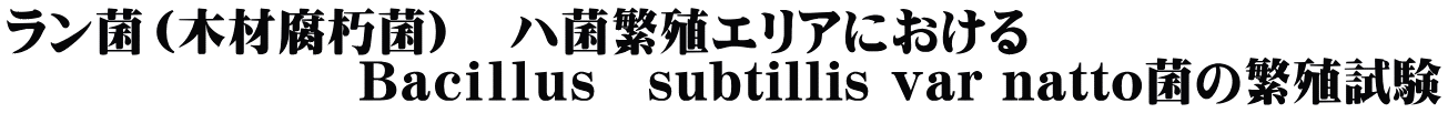 ラン菌（木材腐朽菌）　ハ菌繁殖エリアにおける 　　　　　　　Ｂａｃｉｌｌｕｓ　subtillis var natto菌の繁殖試験