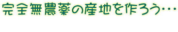 完全無農薬の産地を作ろう・・・ 　　　 