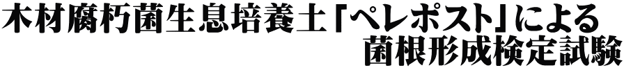 木材腐朽菌生息培養土「ペレポスト」による 　　　　　　　　　　　菌根形成検定試験