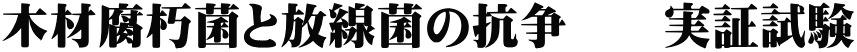 木材腐朽菌と放線菌の抗争　　実証試験