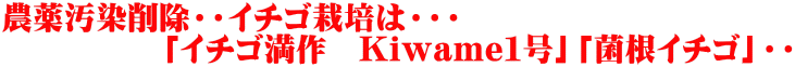 農薬汚染削除・・イチゴ栽培は・・・ 　　　　　「イチゴ満作　Kiwame１号」「菌根イチゴ」・・